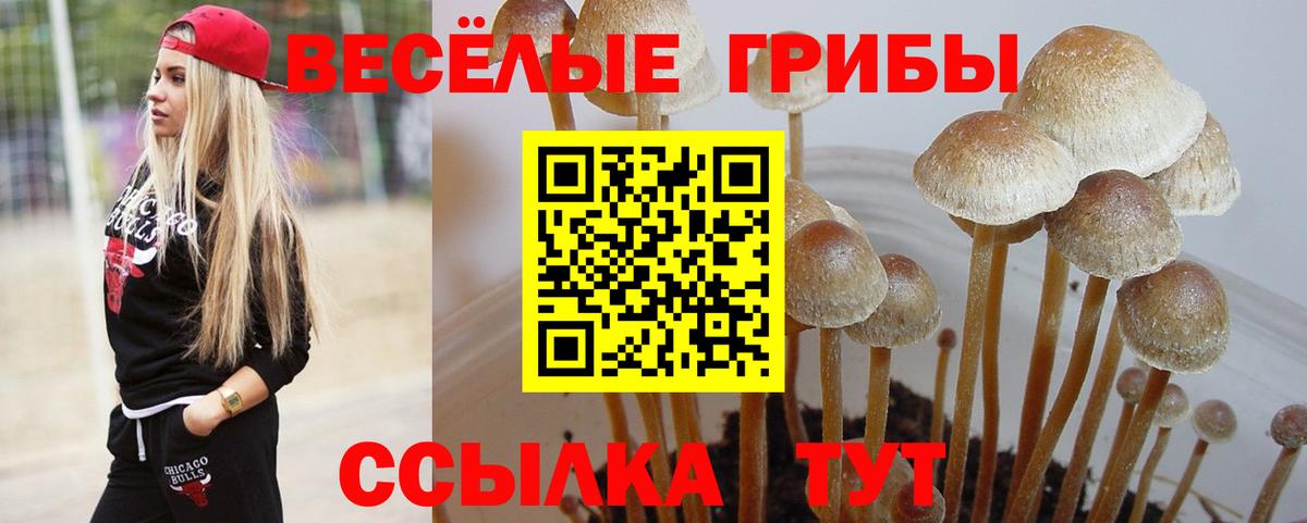 Киреевск  Галлюциногенные грибы мицелий  Вход с VPN 